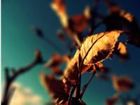 白羊座必须要知道的道理