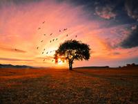 这些生肖一旦生气后果很严重