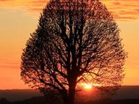 双子座一生最不想放弃什么