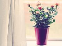 水瓶座一生最不想放弃什么