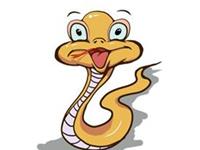 生肖蛇奋斗多少年才能脱贫致富