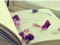 双子座最不喜欢的评价