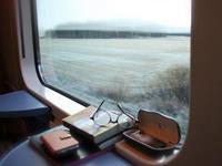 占卜你找到好工作的重要因素是什么