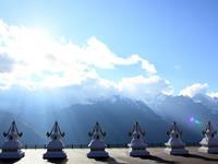 乔治娅2017年十二星座占星运势