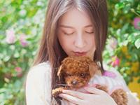 天生令人嫉妒的三大生肖