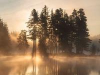 做这两种春梦的人一定不会出轨