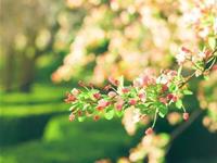 金牛座靠什么说服别人