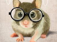 梦见老鼠预示什么