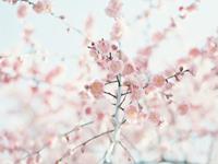 静电鱼2017年3月星座运程