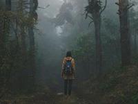 占卜你是否已经足够努力了