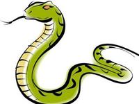 男属蛇的和什么属相最配，属蛇的和什么属相最配