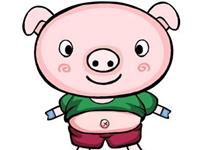 女属猪的和什么属相最配，属猪的和什么属相最配