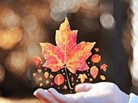 女巫树洞2017年3月射手座运势