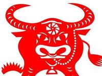 2009年是什么生肖年，2009年属什么生肖