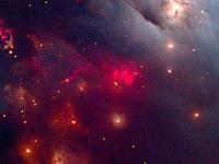 “做梦”有助于学习记忆？