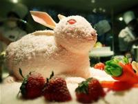 生肖兔发现自己是同性恋时会怎么做