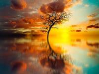 占卜你最近会发生飞来横祸吗