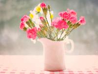 金牛座好说话指数揭秘