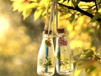 巨蟹座遇到难搞定的事会怎么办