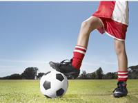 生肖龙的爱运动指数