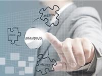 2017年十二生肖生意经