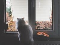 测你会被哪种枷锁束缚住