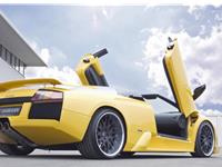 汽车文化看12星座男