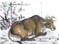 属牛的命运，属牛人的命运