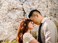 谈一谈日本人的“血型热”