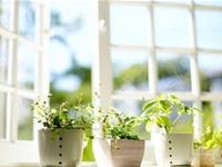 白羊座性格分析