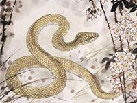 1977年属蛇2017年本命佛