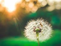 摩羯座性格分析