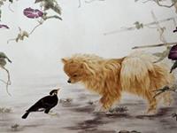 生肖狗的真面目