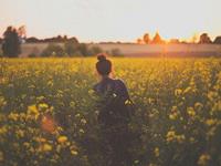 测你怎样才能得到幸福的生活呢