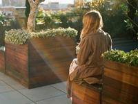 十二生肖中的好命生肖