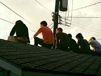 Julia Chen金牛座2017年5月运势