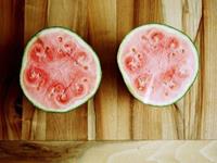 Julia Chen双鱼座2017年5月运势