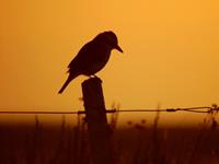 双鱼座什么时候特大方