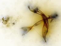 柒爸2017年5月射手座运势