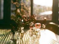 充满正能量，认为快乐才是人生真谛的星座