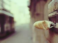 Alex射手座2017年5月运势