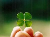 玛丽亚-德西蒙尼十二星座爱情周运（5.8-5.14）