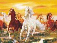 家中挂这些画，保证你财运不断