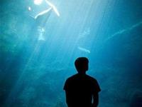 生肖兔男生在乎一个人的表现