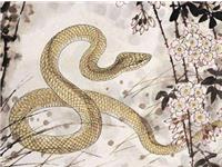 易玄2017年6月生肖蛇运势