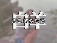 YAO叔2017年6月白羊座运势