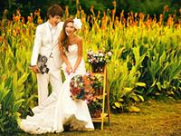 幸福感爆棚，试试跟这些星座谈恋爱