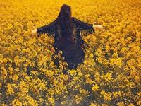 在旧爱心中你是不可取代的吗