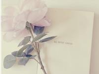 小容女生命灵数运势（6.26-7.2）