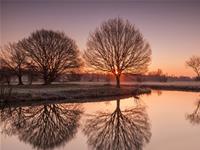 巨蟹座被哪个星座完克